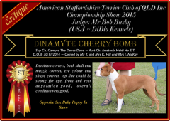 Class 1a ~ 1st ~ Dinamyte Cherry Bomb.png